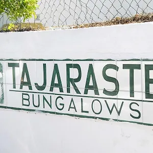 Tajaraste Playa del Inglés